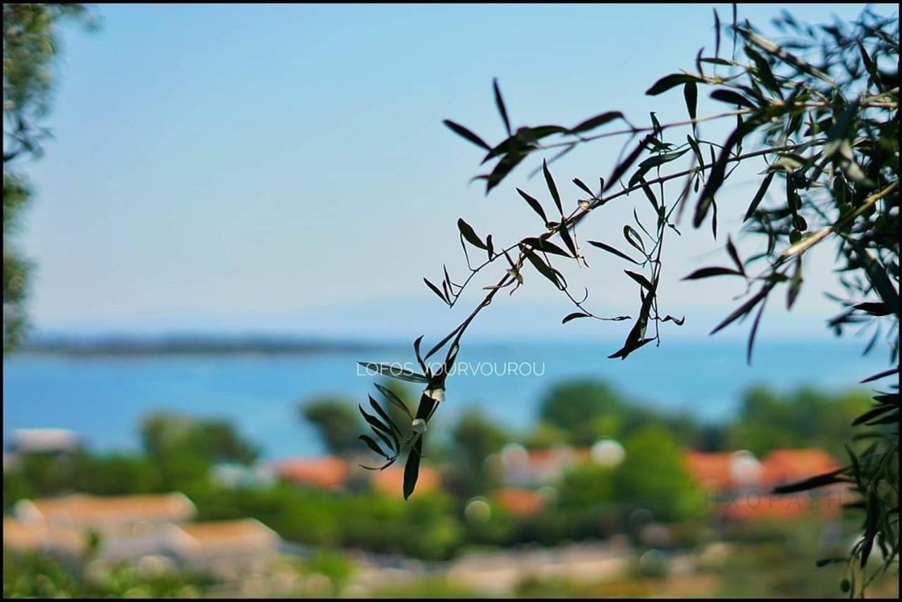 Lofos Vourvourou Daire Dış mekan fotoğraf
